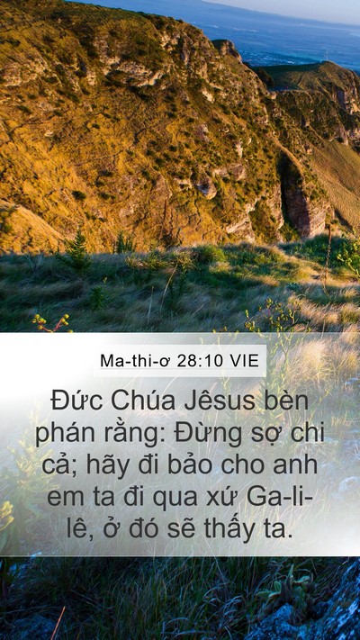 Ma-thi-ơ 28:10 VIE Bible Verse Image