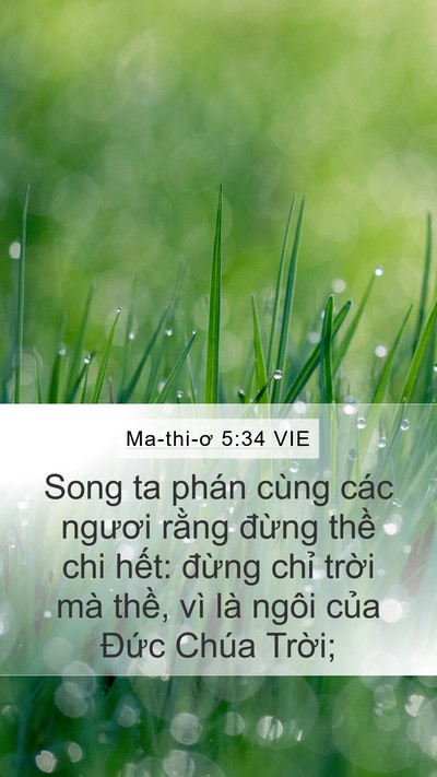 Ma-thi-ơ 5:34 VIE Bible Verse Image