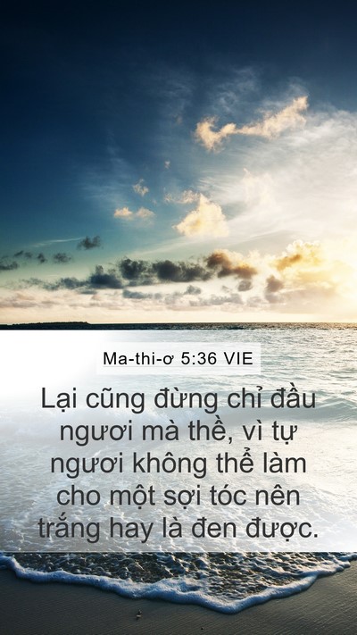 Ma-thi-ơ 5:36 VIE Bible Verse Image