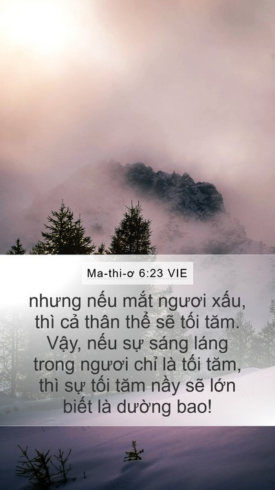 Ma-thi-ơ 6:23 VIE Bible Verse Image