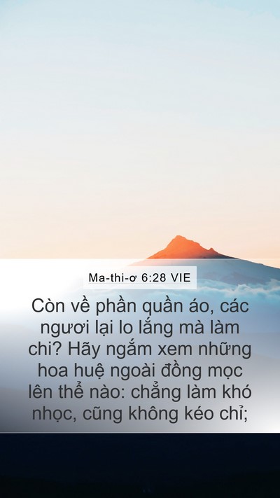 Ma-thi-ơ 6:28 VIE Bible Verse Image