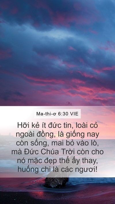 Ma-thi-ơ 6:30 VIE Bible Verse Image