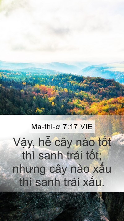 Ma-thi-ơ 7:17 VIE Mobile Phone Wallpaper - Vậy, hễ cây nào tốt thì sanh trái - Mobile Bible Verse Wallpaper