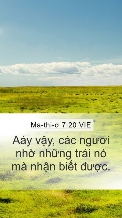 Ma-thi-ơ 7:20 VIE Bible Verse Image