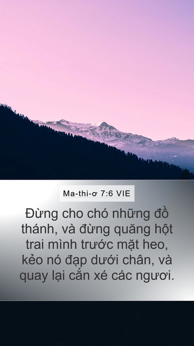Ma-thi-ơ 7:6 VIE Bible Verse Image