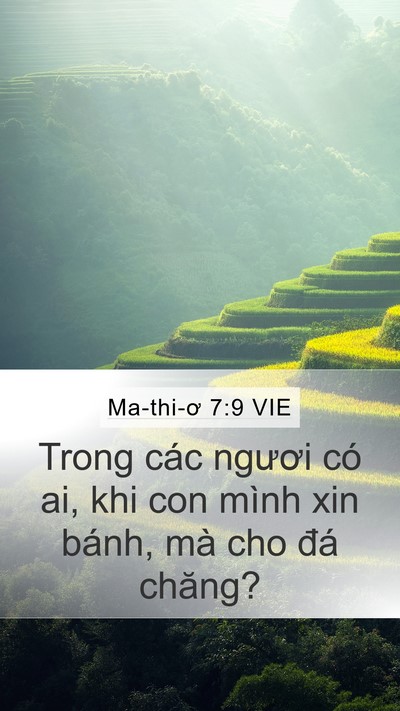 Ma-thi-ơ 7:9 VIE Mobile Phone Wallpaper - Trong các ngươi có ai, khi con mình xin - Mobile Bible Verse Wallpaper