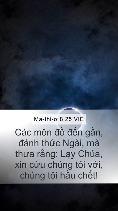 Ma-thi-ơ 8:25 VIE Mobile Phone Wallpaper - Các môn đồ đến gần, đánh thức - Mobile Bible Verse Wallpaper