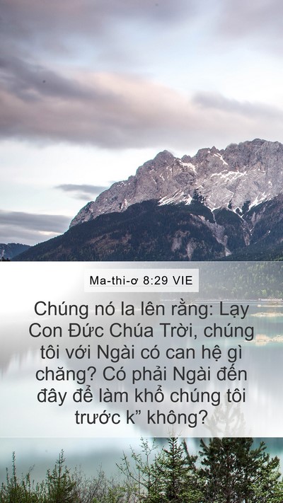 Ma-thi-ơ 8:29 VIE Bible Verse Image