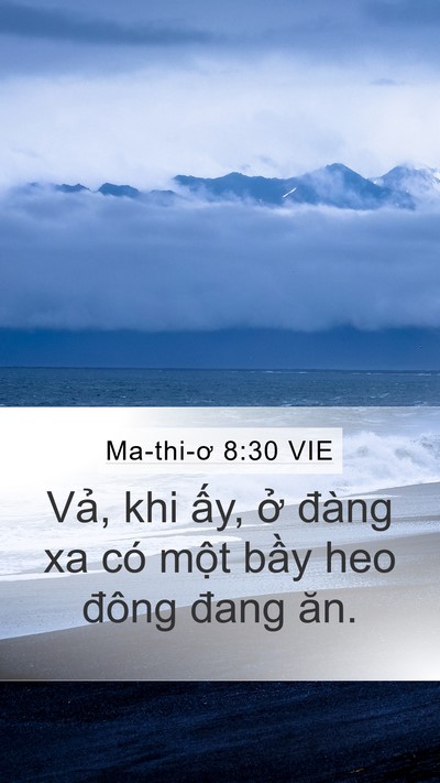 Ma-thi-ơ 8:30 VIE Bible Verse Image