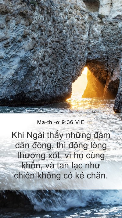 Ma-thi-ơ 9:36 VIE Bible Verse Image
