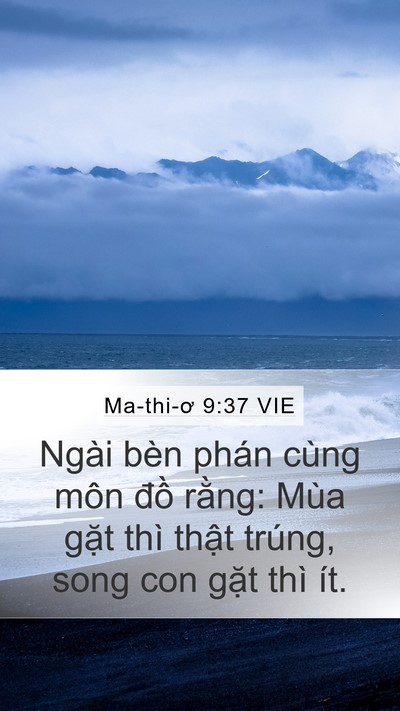 Ma-thi-ơ 9:37 VIE Bible Verse Image