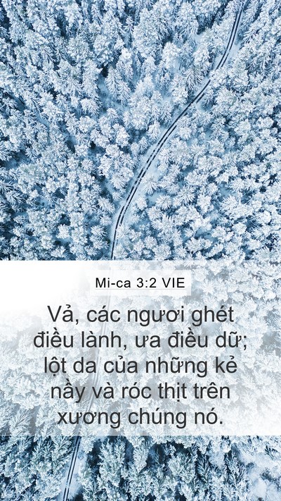 Mi-ca 3:2 VIE Bible Verse Image