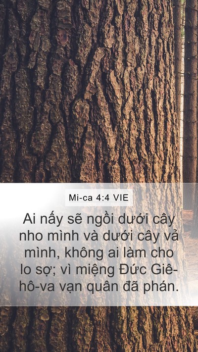 Mi-ca 4:4 VIE Bible Verse Image