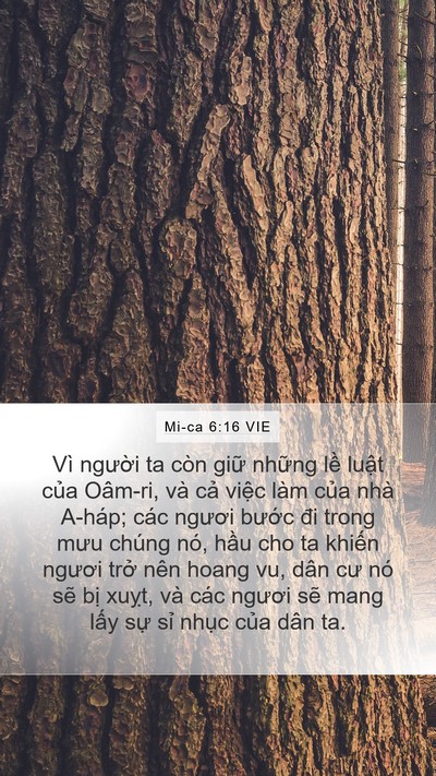 Mi-ca 6:16 VIE Bible Verse Image