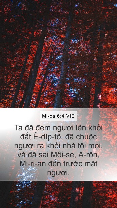 Mi-ca 6:4 VIE Bible Verse Image