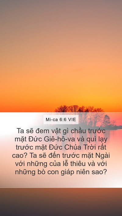 Mi-ca 6:6 VIE Bible Verse Image
