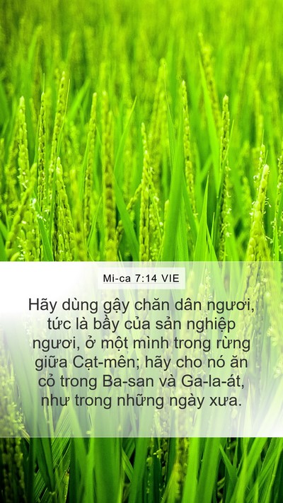 Mi-ca 7:14 VIE Bible Verse Image