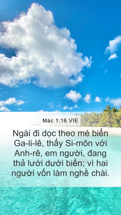 Mác 1:16 VIE Bible Verse Image