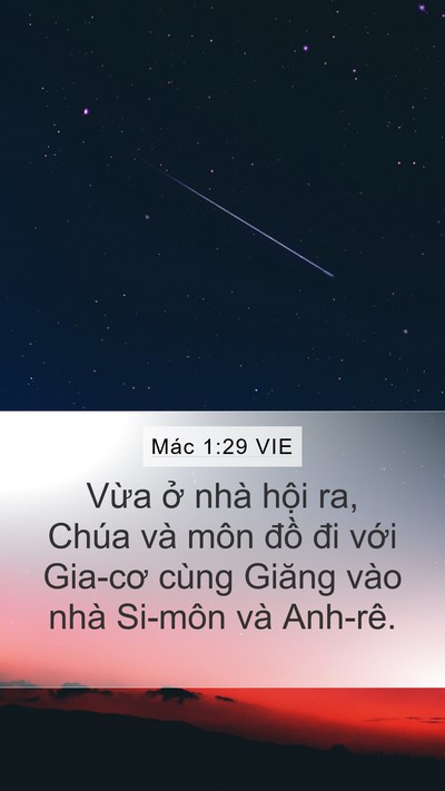 Mác 1:29 VIE Mobile Phone Wallpaper - Vừa ở nhà hội ra, Chúa và môn đồ đi - Mobile Bible Verse Wallpaper