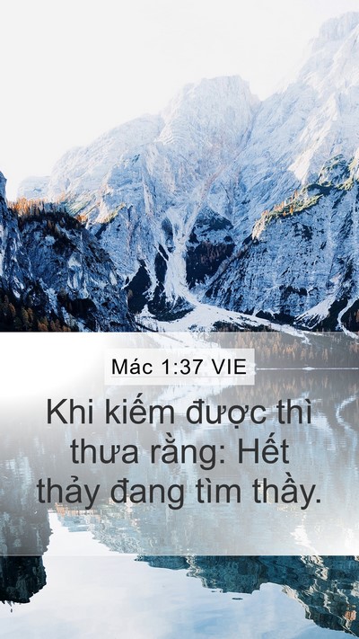 Mác 1:37 VIE Mobile Phone Wallpaper - Khi kiếm được thì thưa rằng: Hết - Mobile Bible Verse Wallpaper
