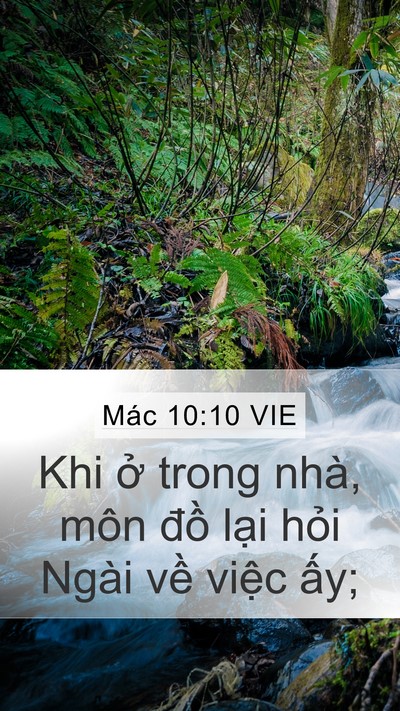 Mác 10:10 VIE Mobile Phone Wallpaper - Khi ở trong nhà, môn đồ lại hỏi Ngài - Mobile Bible Verse Wallpaper