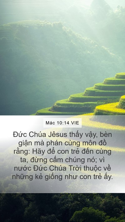 Mác 10:14 VIE Bible Verse Image