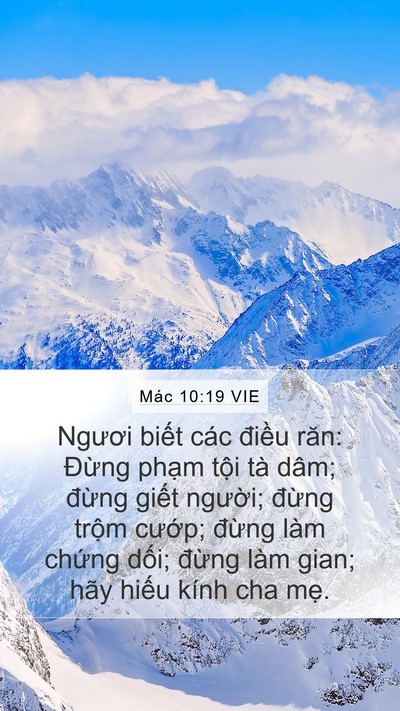 Mác 10:19 VIE Bible Verse Image