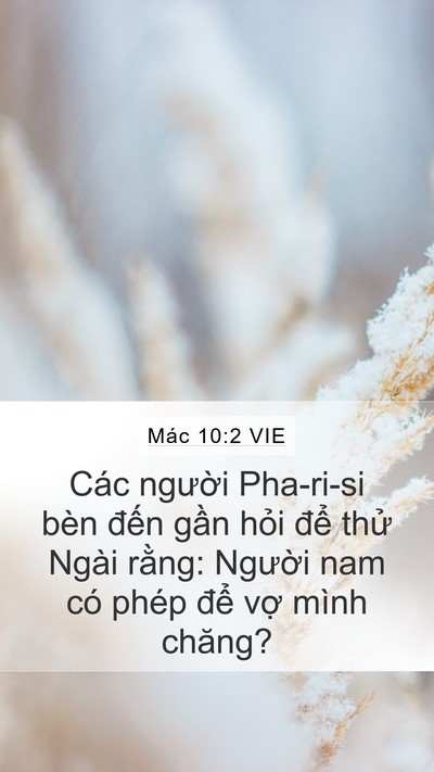 Mác 10:2 VIE Bible Verse Image