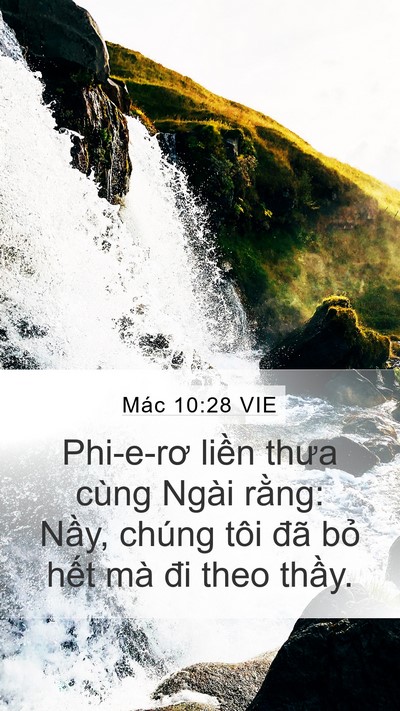 Mác 10:28 VIE Bible Verse Image