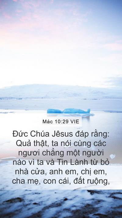 Mác 10:29 VIE Bible Verse Image