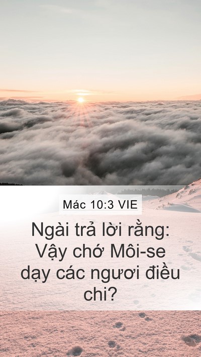 Mác 10:3 VIE Mobile Phone Wallpaper - Ngài trả lời rằng: Vậy chớ Môi-se - Mobile Bible Verse Wallpaper