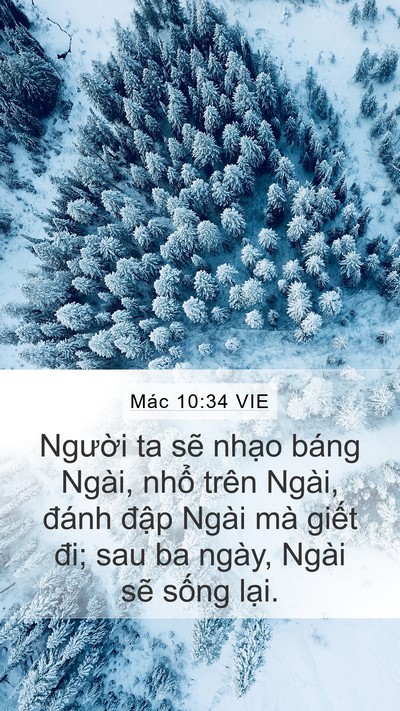 Mác 10:34 VIE Bible Verse Image