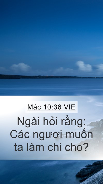 Mác 10:36 VIE Bible Verse Image