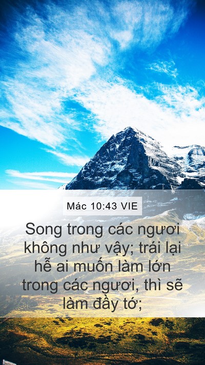 Mác 10:43 VIE Bible Verse Image
