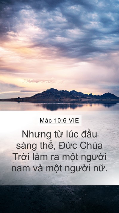 Mác 10:6 VIE Bible Verse Image
