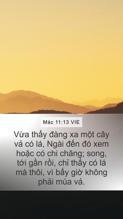 Mác 11:13 VIE Mobile Phone Wallpaper - Vừa thấy đàng xa một cây vả có lá, - Mobile Bible Verse Wallpaper