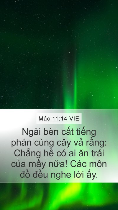 Mác 11:14 VIE Bible Verse Image