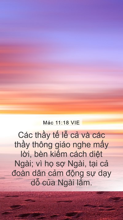Mác 11:18 VIE Bible Verse Image