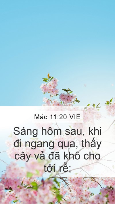 Mác 11:20 VIE Bible Verse Image