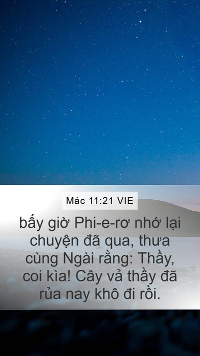 Mác 11:21 VIE Bible Verse Image