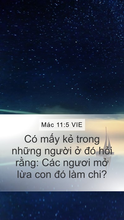 Mác 11:5 VIE Mobile Phone Wallpaper - Có mấy kẻ trong những người ở đó - Mobile Bible Verse Wallpaper