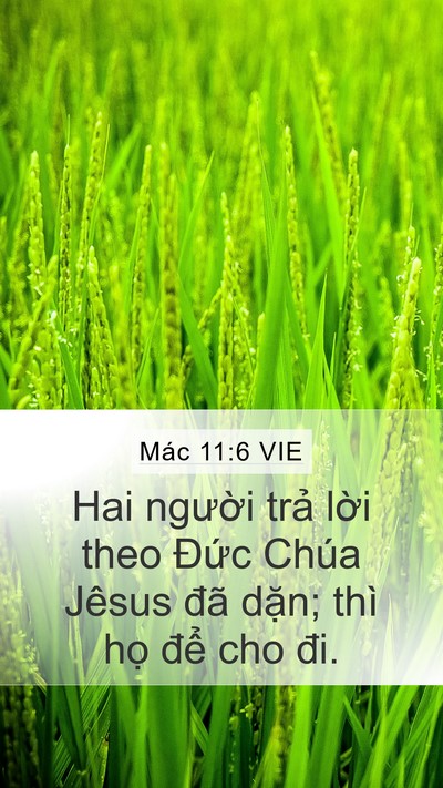 Mác 11:6 VIE Mobile Phone Wallpaper - Hai người trả lời theo Đức Chúa Jêsus - Mobile Bible Verse Wallpaper