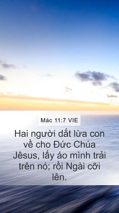 Mác 11:7 VIE Mobile Phone Wallpaper - Hai người dắt lừa con về cho Đức - Mobile Bible Verse Wallpaper