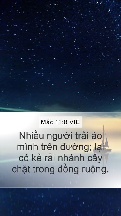 Mác 11:8 VIE Mobile Phone Wallpaper - Nhiều người trải áo mình trên - Mobile Bible Verse Wallpaper