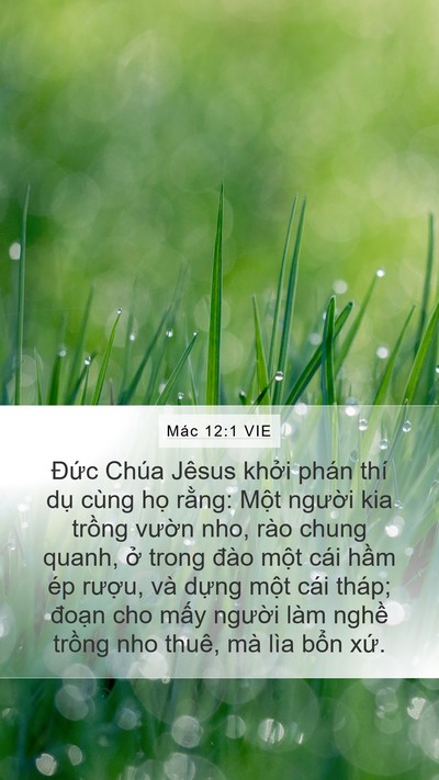 Mác 12:1 VIE Bible Verse Image