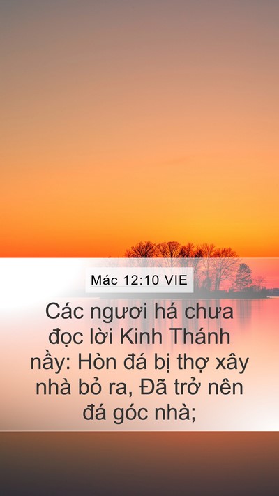 Mác 12:10 VIE Bible Verse Image
