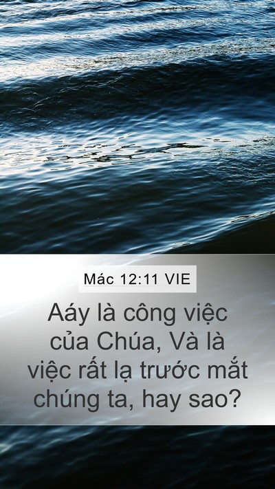 Mác 12:11 VIE Mobile Phone Wallpaper - Aáy là công việc của Chúa, Và là việc - Mobile Bible Verse Wallpaper