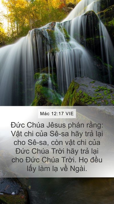 Mác 12:17 VIE Bible Verse Image