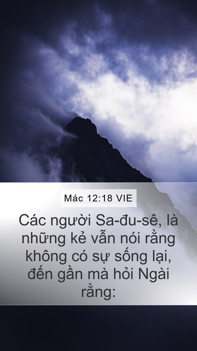 Mác 12:18 VIE Bible Verse Image