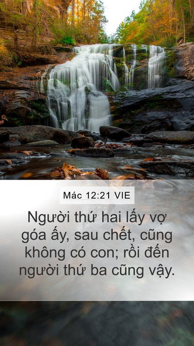 Mác 12:21 VIE Mobile Phone Wallpaper - Người thứ hai lấy vợ góa ấy, sau - Mobile Bible Verse Wallpaper